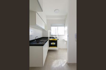 Cozinha - Armários de apartamento para alugar com 2 quartos, 49m² em Cidade Líder, São Paulo