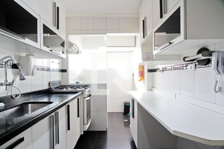 Cozinha de apartamento para alugar com 2 quartos, 74m² em Vila Sao Vicente, São Paulo