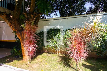 Área Comum de casa de condomínio para alugar com 1 quarto, 38m² em Vila Esperança, São Paulo