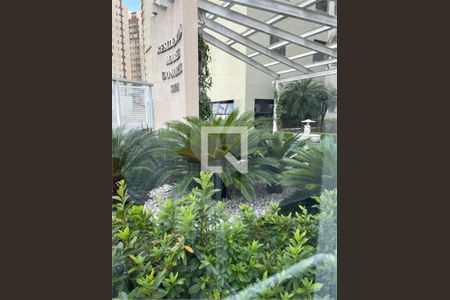 Apartamento à venda com 3 quartos, 70m² em Rudge Ramos, São Bernardo do Campo