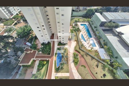 Vista de apartamento para alugar com 3 quartos, 125m² em Vila Leopoldina, São Paulo