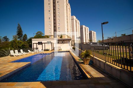 Área comum - Piscina de apartamento à venda com 2 quartos, 51m² em Jardim Ipaussurama, Campinas