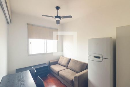 Sala de apartamento para alugar com 1 quarto, 30m² em Santa Cecilia, São Paulo