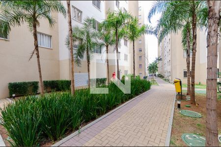 Área comum de apartamento à venda com 2 quartos, 38m² em Jardim Iris, São Paulo
