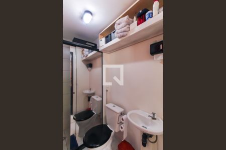 Banheiro Social de apartamento para alugar com 1 quarto, 27m² em Brás, São Paulo