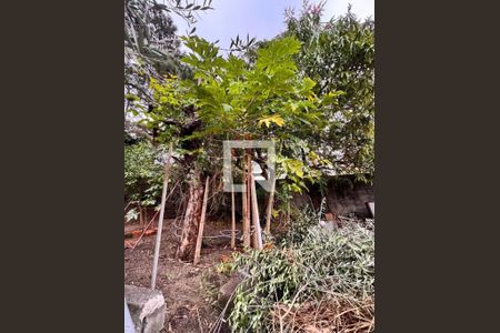 Casa à venda com 3 quartos, 242m² em Vila Gomes, São Paulo