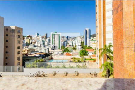 Vista da Varanda da Sala de apartamento à venda com 2 quartos, 127m² em Carmo, Belo Horizonte
