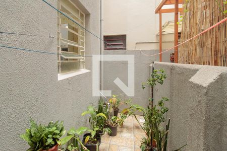 Quintal de apartamento para alugar com 2 quartos, 56m² em Rio Branco, Porto Alegre