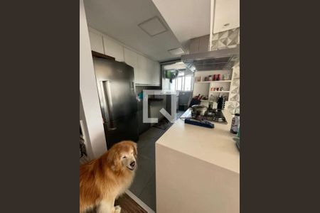 Apartamento à venda com 2 quartos, 124m² em Campo Belo, São Paulo