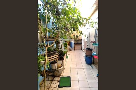 Casa à venda com 5 quartos, 210m² em Cursino, São Paulo