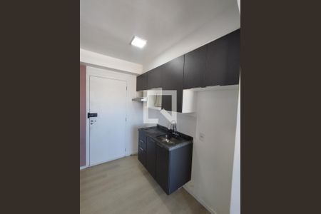 Cozinha  de apartamento para alugar com 2 quartos, 30m² em Vila Moraes, São Paulo