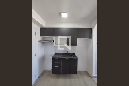 Cozinha  de apartamento para alugar com 2 quartos, 30m² em Vila Moraes, São Paulo