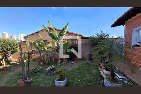 Quintal de casa à venda com 2 quartos, 83m² em Jardim Nossa Senhora Auxiliadora, Campinas