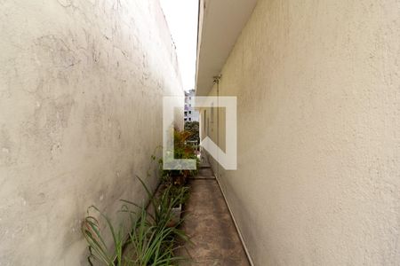 Quintal de casa à venda com 3 quartos, 137m² em Vila do Castelo, São Paulo