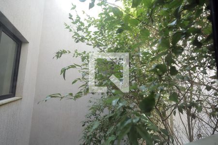 Vista da Cozinha de apartamento à venda com 2 quartos, 90m² em Parque das Nações, Santo André