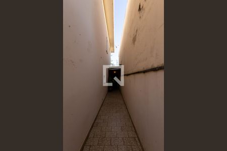 Quintal de casa à venda com 3 quartos, 255m² em Vila Cordeiro, São Paulo