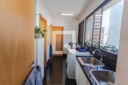 Área de Serviço de apartamento à venda com 4 quartos, 278m² em Funcionários, Belo Horizonte