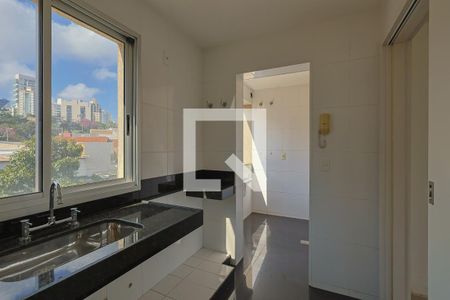 Cozinha de apartamento à venda com 2 quartos, 76m² em Santo Antônio, Belo Horizonte