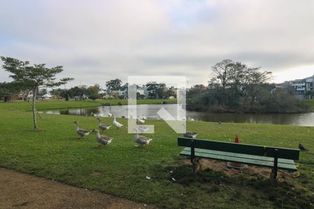 Área comum - lago de casa à venda com 3 quartos, 130m² em Hípica, Porto Alegre