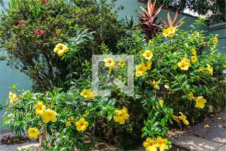 Casa à venda com 3 quartos, 208m² em Planalto Paulista, São Paulo