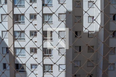 Vista Quarto 1 de apartamento para alugar com 2 quartos, 56m² em Vila Santa Catarina, Americana