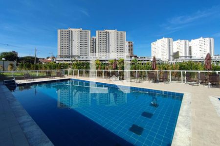 Área comum - Piscina de apartamento à venda com 2 quartos, 56m² em Fundacao da Casa Popular, Campinas