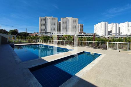 Área comum - Piscina de apartamento à venda com 2 quartos, 56m² em Fundacao da Casa Popular, Campinas