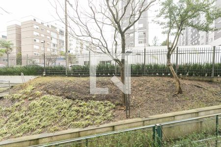 Vista de apartamento para alugar com 3 quartos, 85m² em Jardim Itu, Porto Alegre