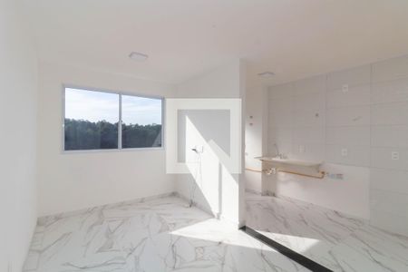 Sala de apartamento para alugar com 2 quartos, 46m² em Colônia (zona Leste), São Paulo