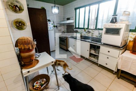 Cozinha - Armários de casa para alugar com 6 quartos, 380m² em Cidade Jardim, São Paulo