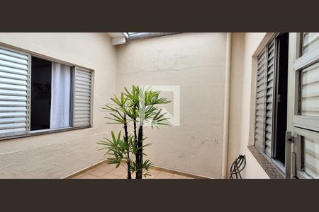 Jardim de inverno  de casa à venda com 3 quartos, 450m² em Barcelona, São Caetano do Sul