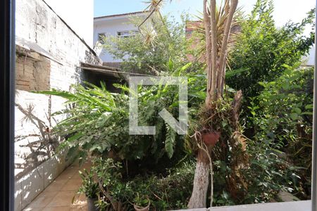 Vista do Quarto de casa para alugar com 1 quarto, 40m² em Vila Aquilino, Santo André