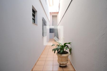 Quintal de casa para alugar com 3 quartos, 200m² em Vila Mafra, São Paulo