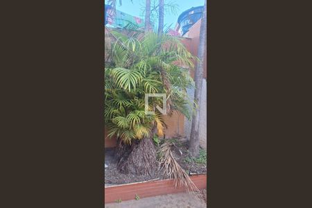 Casa à venda com 2 quartos, 140m² em Riachuelo, Rio de Janeiro