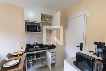 Cozinha de apartamento para alugar com 1 quarto, 29m² em Vila São José, São Paulo
