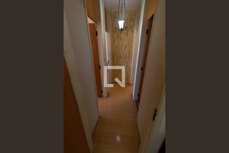 Corredor de apartamento para alugar com 3 quartos, 78m² em Taquaral, Campinas
