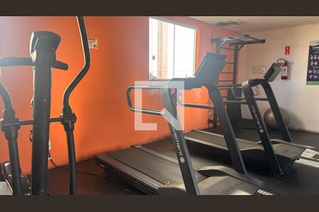 Área comum - Academia de apartamento à venda com 2 quartos, 47m² em Jardim Anton Von Zuben, Campinas