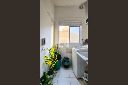Cozinha e Área de Serviço de apartamento para alugar com 2 quartos, 35m² em Vila Baby, São Paulo