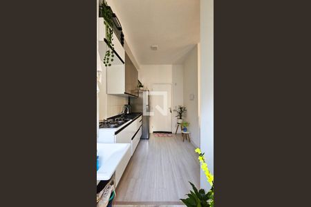 Cozinha e Área de Serviço de apartamento para alugar com 2 quartos, 35m² em Vila Baby, São Paulo