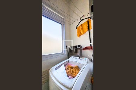 Cozinha e Área de Serviço de apartamento para alugar com 2 quartos, 35m² em Vila Baby, São Paulo