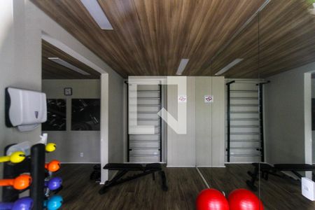 Área comum - Academia de apartamento para alugar com 2 quartos, 32m² em Vila Ema, São Paulo