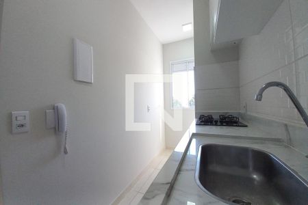 Cozinha de apartamento para alugar com 2 quartos, 51m² em Jardim do Lago Continuacao, Campinas