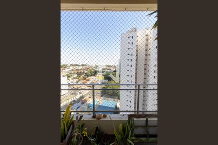 varanda de apartamento para alugar com 3 quartos, 72m² em Chácara Primavera, Campinas