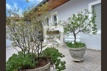 Foto 02 de casa à venda com 4 quartos, 180m² em Vila Nova, Campinas