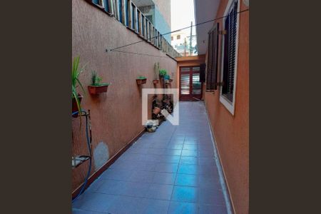 Casa à venda com 3 quartos, 133m² em Vila Isolina Mazzei, São Paulo