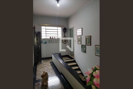 Casa à venda com 3 quartos, 320m² em Vila Cordeiro, São Paulo