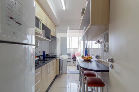 Cozinha de apartamento à venda com 2 quartos, 53m² em Vila Marieta, São Paulo