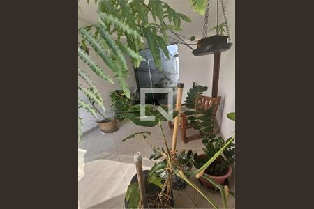 Casa à venda com 3 quartos, 450m² em Vila Mariana, São Paulo