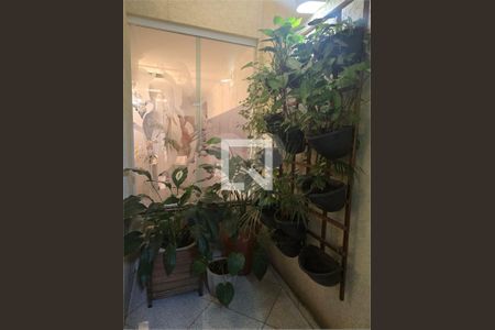 Casa à venda com 3 quartos, 173m² em Alto da Mooca, São Paulo