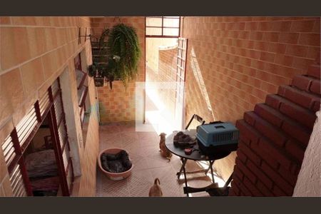 Casa à venda com 4 quartos, 250m² em Vila Floresta, Santo André